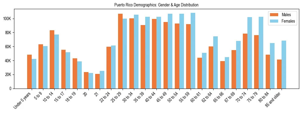 Population pyramid for Puerto Rico showing male vs female age distribution based on 2024 ACS data.